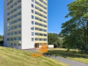 Pronájem bytu 1+kk, Ústí nad Labem, Hoření, 22 m2