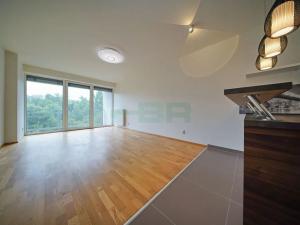 Pronájem bytu 3+kk, Plzeň, Lidická, 97 m2