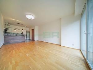 Pronájem bytu 3+kk, Plzeň, Lidická, 97 m2