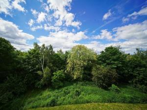 Pronájem bytu 3+kk, Plzeň, Lidická, 97 m2