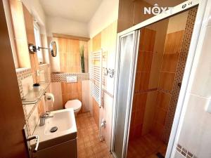Pronájem bytu 1+1, Český Krumlov, 29 m2