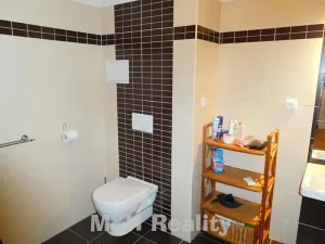 Pronájem bytu 2+kk, Frýdlant nad Ostravicí, 5. května, 60 m2
