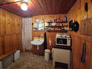 Prodej chaty, Borušov, 35 m2