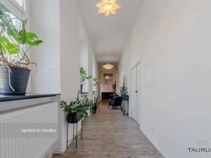 Pronájem kanceláře, Plzeň, Kopeckého sady, 22 m2