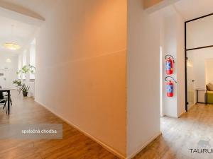 Pronájem kanceláře, Plzeň, Kopeckého sady, 22 m2