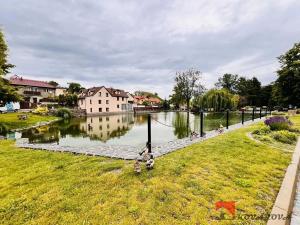 Pronájem rodinného domu, Holubice, Na Hrázi, 120 m2