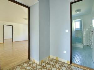 Pronájem rodinného domu, Kamýk nad Vltavou, 550 m2