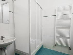 Pronájem bytu 4+kk, Praha - Nové Město, V jámě, 95 m2
