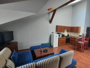 Prodej bytu 2+kk, Brno, Antonínská, 65 m2