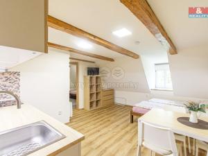 Prodej ubytování, Malá Morávka, 350 m2