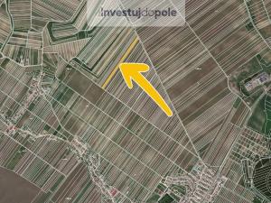 Prodej pozemku, Velké Bílovice, 3322 m2