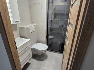 Pronájem bytu 2+kk, Jablonec nad Nisou, Jeronýmova, 40 m2