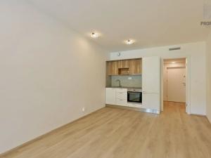 Pronájem bytu 1+kk, Brno, Bystrcká, 27 m2