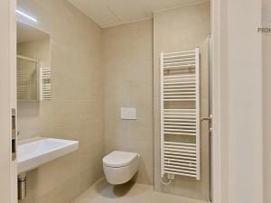 Pronájem bytu 1+kk, Brno, Bystrcká, 27 m2