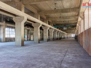 Pronájem výrobních prostor, Ostrava, 12000 m2