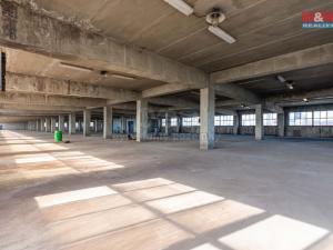 Pronájem výrobních prostor, Ostrava, 12000 m2