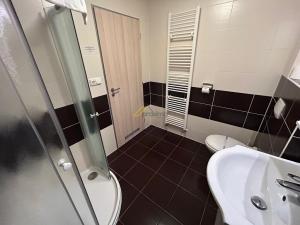 Pronájem bytu 1+kk, České Budějovice - České Budějovice 3, Jiráskovo nábř., 29 m2