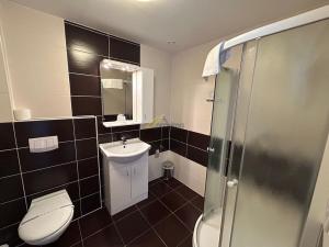Pronájem bytu 1+kk, České Budějovice - České Budějovice 3, Jiráskovo nábř., 29 m2