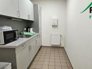 Pronájem výrobních prostor, Planá, Průmyslová, 2247 m2