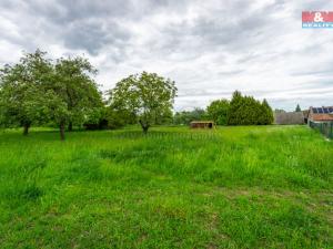 Prodej pozemku pro bydlení, Brloh, 4508 m2