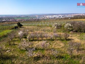 Prodej pozemku pro bydlení, Dobšice, 2462 m2