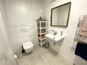 Pronájem bytu 2+kk, Brno - Veveří, Lidická, 55 m2