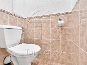 Prodej bytu 2+1, Chodov, U Porcelánky, 61 m2