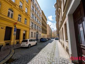 Pronájem bytu 1+1, Praha - Nové Město, Opatovická, 45 m2