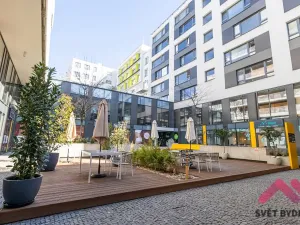 Pronájem kanceláře, Praha - Karlín, Sokolovská, 288 m2