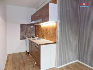 Pronájem bytu 1+kk, Ústí nad Labem - Krásné Březno, V Oblouku, 31 m2