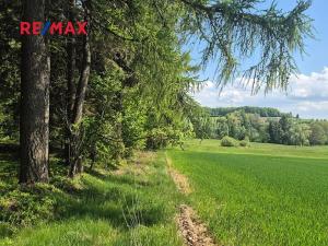 Prodej pozemku pro bydlení, Borová, 5776 m2