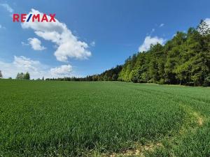 Prodej pozemku pro bydlení, Borová, 5776 m2