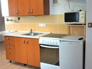 Pronájem bytu 1+kk, Brno, Zelná, 28 m2