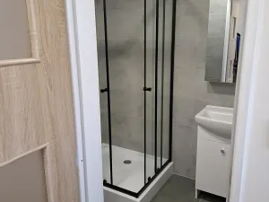 Pronájem bytu 3+kk, Chomutov, Palachova, 68 m2