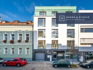 Pronájem bytu 1+kk, Brno, Chaloupkova, 21 m2