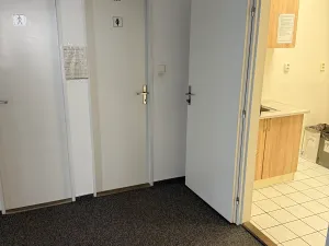 Pronájem skladu, Praha - Holešovice, U průhonu, 361 m2