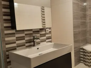 Prodej vícegeneračního domu, Slatina nad Zdobnicí, 235 m2