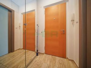 Pronájem bytu 1+kk, Praha - Michle, Michelská, 27 m2