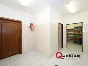 Prodej obchodního prostoru, Praha - Nusle, Slavojova, 149 m2
