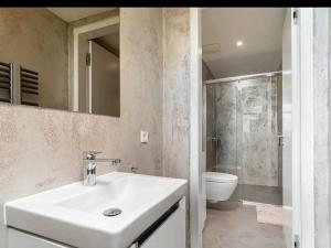 Pronájem bytu 3+kk, Praha - Smíchov, Kobrova, 183 m2