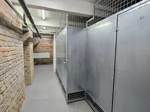 Prodej bytu 2+kk, Praha - Vinohrady, Radhošťská, 45 m2
