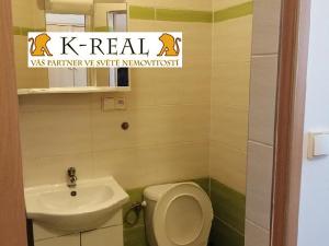 Pronájem bytu 1+kk, Chudčice, 29 m2