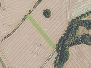 Prodej louky, Petrovice, 13071 m2