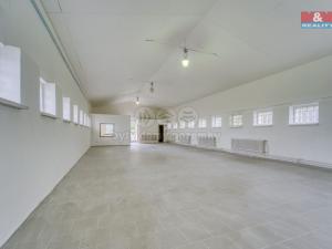 Pronájem skladu, Louny, Mělecká, 436 m2