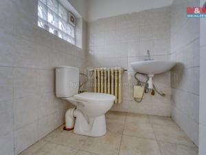 Pronájem skladu, Louny, Mělecká, 436 m2