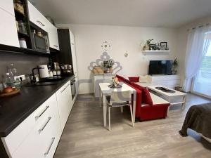 Pronájem bytu 1+kk, Slavkov u Brna, 39 m2