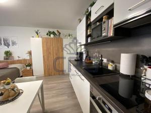 Pronájem bytu 1+kk, Slavkov u Brna, 39 m2