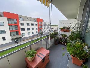 Pronájem bytu 1+kk, Slavkov u Brna, 39 m2