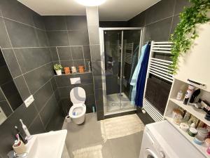 Pronájem bytu 1+kk, Slavkov u Brna, 39 m2
