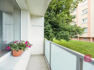 Prodej bytu 2+1, Mokrá-Horákov, 52 m2
